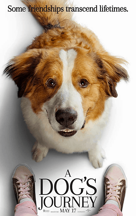 A Dogs Journey (2019) หมา เป้าหมาย และเด็กชายของผม 2 [ซับไทย]