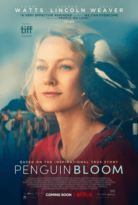 Penguin Bloom (2020) เพนกวิน บลูม [ซับไทย]