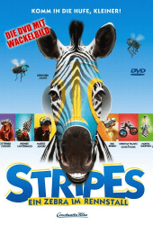 Racing Stripes (2005) เรซซิ่ง สไตรพส์ ม้าลายหัวใจเร็วจี๊ดด...