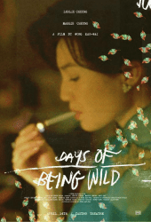Days of Being Wild (1990) วันที่หัวใจรักกล้าตัดขอบฟ้า
